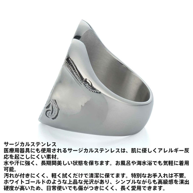 20���������ȡ������ݥ��10��OFF �饤����ϡ��� HAWAIIAN �ۡ������塼 ��� ���������륹�ƥ�쥹 ��°����륮���б� ����С� 15���23�� ���� ���� ��� �֥��� LION HEART