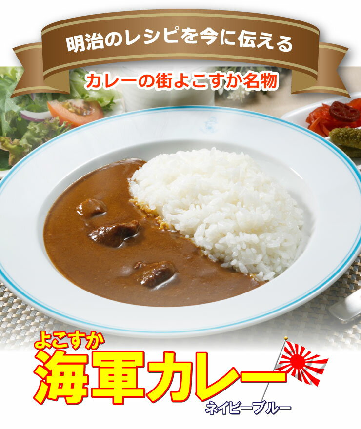 調味商事 よこすか 海軍カレー ネイビーブルー 中辛 180g×48箱セット