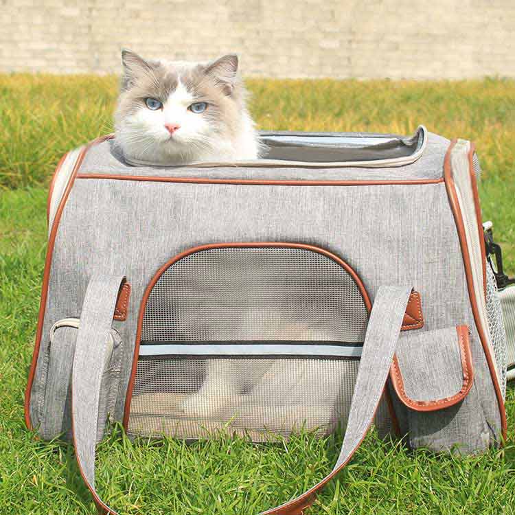 【今だけの特別価格！300円OFFクーポン＆SSP5倍！】 キャリーバッグ 猫用 犬用 反...