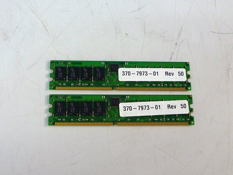 370-7973-01 X8704A SUN 1GB ECC DDR DIMM PC2700 CL2.5 2枚セット 2GB【中古】 1