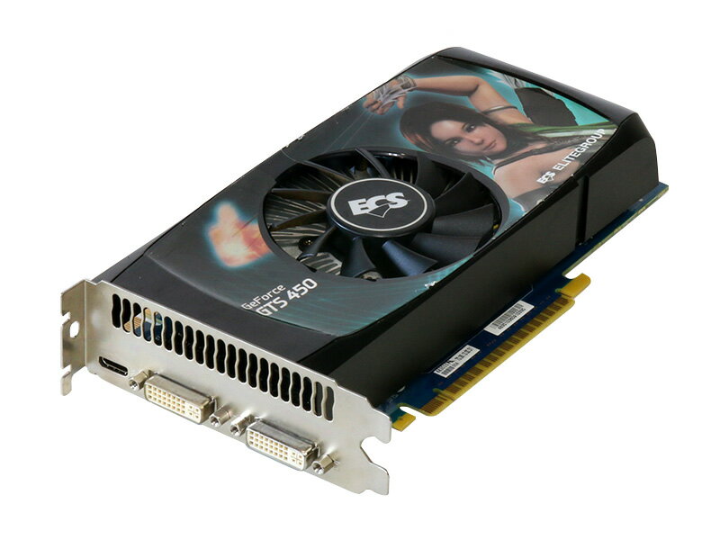 ECS GeForce GTS 450 1GB Mini HDMI/Dual DVI-I PCI Express x16 2.0 NGTS450-1GPI-F【中古】