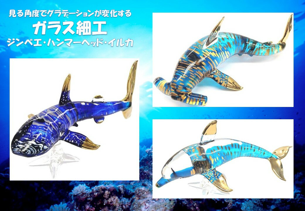 海の生き物 ガラス細工 インテリア ジンベエザメ イルカ ハンマーヘッドシャーク マンタ ウミガメ スキューバダイビング スキンダイビング