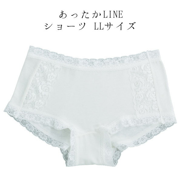 あったかLINEショーツ (LL) NO.555"あったかLINEショーツ(LL)NO.555"