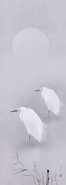 掛け軸専門/掛軸(かけじく)通販白鷺(中川 幸彦)【花鳥画・夏用掛軸・年中掛け】【全国掛け軸送料無料・代引手数料無料】