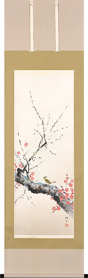 掛け軸 掛軸 梅に鶯 田辺修二 尺五立(54.5×190cm) 桐箱収納 全国送料無料無料 代引き手数無料 冬の掛け軸 季節掛け ギフト 贈答品"梅に鶯田辺修二尺五立(54.5×190cm)"