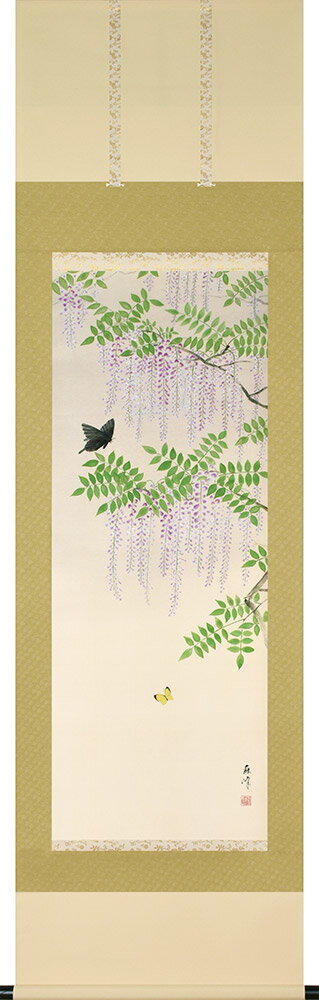 掛け軸 掛軸 藤に蝶 富岡蘇峰 尺五立(54.5×190cm) 桐箱収納 全国送料無料無料 代引き手数無料 春掛け 新築祝 ギフト 贈答品"藤に蝶富岡蘇峰尺五立(54.5×190cm)"