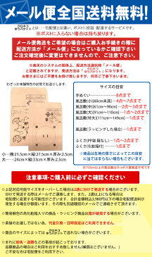 【メール便送料無料】 ふくさ 袱紗 金封ふくさ シビラ 紺 Sybilla ≪化粧箱無し≫モダン 誕生日プレゼント 成人式お祝い プチギフト 贈り物名入れ対応 化粧箱無しのため無料ラッピング対象外