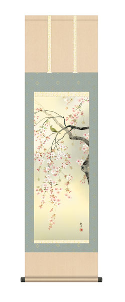 掛け軸　森山　観月（三美会）　桜花　尺三立幅44.5×高さ約164cm　花鳥画　春掛け　