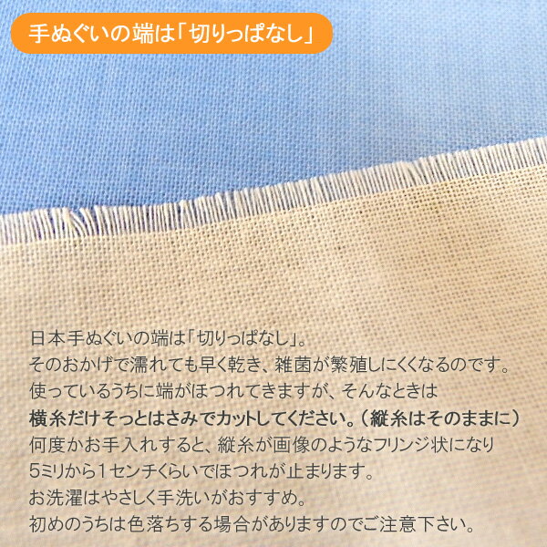 [和布華（わふか）]手ぬぐい　鯉のぼり【日本手拭い（てぬぐい）・こいのぼり・富士山・端午の節句・こどもの日・和風】