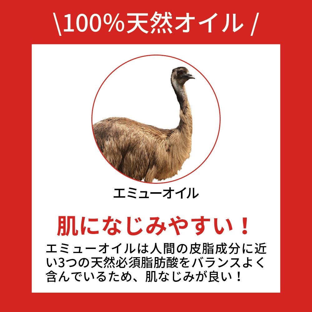 50%off��3�ĥ��åȡ� ������Х� �եåȥ��꡼�� �⥤�����㡼(��) �ڹ񥳥��� ������ �ݼ� �Ѽ����� ������Х� �����ȥ��� ���꡼�� �ڹ� ������ ���Ȥ� �եåȥ��� �������� ������ �Ѽ�����