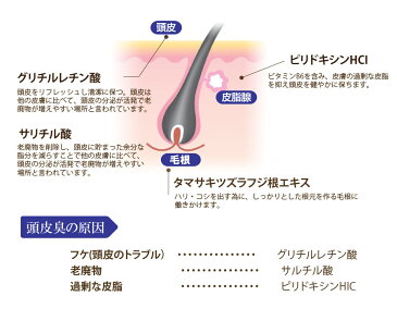 大容量【ユニセックス】ピンククロス アロマ スカルプケア 200ml|化粧水 ヒアルロン酸 スプレー トニック スカルプ 美容液 レディース 女性 頭皮ケア 頭皮美容液 ローション ボタニカル 頭皮マッサージ 薄毛 抜け毛 かゆみ 臭い スカルプローション 頭皮用 頭皮 女