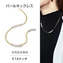 パール ネックレス レディース 淡水パール シンプル 14K 仕上げ チェーン アクセサリー 淡水パール カジュアル 卒業式 普段用 おしゃれ デイリー 大人 可愛い ギフト 女性 クリスマス 誕生日 プレゼント