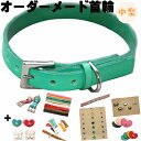 犬 首輪 革 皮 名入れ ネーム入り 特注 本革 オーダーメイド 小型犬 中型犬 (耐荷重10kg迄) 革幅1.5cm 無料刻印 名前入り ネーム 犬用 柔らかい 軽量 軽い 迷子防止 おしゃれ かわいい ペット 犬首輪 犬の首輪 カスタム レザー 牛革 ヌメ 送料無料 日本製 ギフト プレゼント