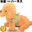 犬 胴輪 ハーネス 革 本革 編み込み ワンタッチ ハーネス 超小型犬 革幅1cm 犬用ハーネス おしゃれ かわいい 簡単 装着 ワンタッチ ジョイント 超小型 小型 トイプードル チワワ ダックス 豆柴 レザー 牛革 皮 負担が少ない 抜けない 軽い 軽量 日本製 ギフト プレゼント