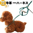犬 ハーネス 胴輪 革 本革 編み込み 丸め革 モチーフ 付 ハーネス 超小型犬 名入れ 名前入り ネーム入り ネーム 犬用 ドッグ 迷子札 軽量 軽い おしゃれ かわいい ネームプレート ボーン 骨 チャーム 柔らかい ソフト 負担少ない 超小型 送料無料 日本製 ギフト プレゼント