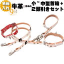 犬 首輪 2頭引き リード セット 革 本革 名入れ ソーイング バックバリエ HTM 首輪 2本 カフェ ショート 2頭引きリード セット 超小型犬 小型犬 ...