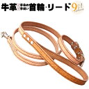 犬 首輪 リード セット 革 本革 ウエスタン ソーイング 型押し HTM 首輪 リードセット 小型犬 中型犬 革幅1.5cm 犬用 皮 軽量 軽い 犬のリード...