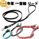 犬 首輪 リード セット 革 名入れ ネーム入り 本革 カラフル ダブルリング 犬首輪 リードセット 超小型犬 小型犬 中型犬 革幅1cm/1.5cm 名前入り 犬用品 柔らかい ペットリード 犬の首輪 軽量 軽い 名前 迷子防止 おしゃれ かわいい おすすめ ダブルロック レザー 日本製