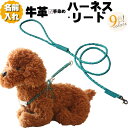 犬 ハーネス 胴輪 リード セット 革 本革 編み込み 丸め革 モチーフ 付 ハーネス リードセット 超小型犬 名入れ 名前入り ネーム入り 犬用 軽い おしゃ...