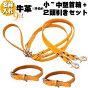 犬 首輪 2頭引き リード セット 革 本革 名入れ カラフル 首輪 2本 2頭引きリード セット 超小型犬 小型犬 中型犬 名前入り ネーム入り 二頭引き 二...