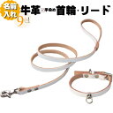 犬 首輪 リード セット 革 名入れ ネーム入り 本革 ギボシ 首輪 リードセット 小型犬 中型犬 刻印 名前入り ネーム 犬用 皮 軽量 軽い 迷子防止 迷子...