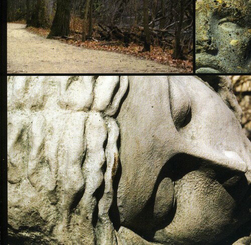 【取寄】Wilt - Cemetery Road/Dead Electroniks CD アルバム 【輸入盤】