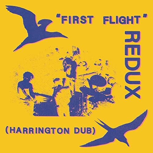 Chris Forsyth - First Flight Redux (Harrington Dub) LP レコード 【輸入盤】