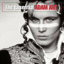 Adam Ant - Essential Adam Ant CD アルバム 【輸入盤】