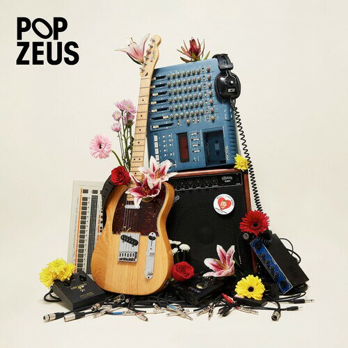 Pop Zeus - This Doesn't Feel Like Home (Unreleased Demos 2011-2014) LP レコード 【輸入盤】