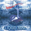 【取寄】Liquid Mind - Ambience Minimum CD アルバム 【輸入盤】