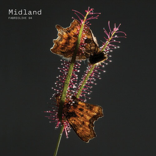 Midland - Fabriclive 94 CD アルバム 【輸入盤】