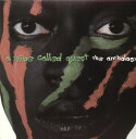 Tribe Called Quest - Anthology LP レコード 【輸入盤】