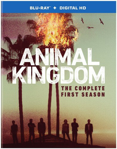 Animal Kingdom: The Complete First Season u[C yAՁz