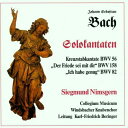 ◆タイトル: Solo Cantatas: Kreuzstab◆アーティスト: J.S. Bach / Windsbacher Knabenchor◆現地発売日: 2012/01/01◆レーベル: BayerJ.S. Bach / Windsbacher Knabenchor - Solo Cantatas: Kreuzstab CD アルバム 【輸入盤】※商品画像はイメージです。デザインの変更等により、実物とは差異がある場合があります。 ※注文後30分間は注文履歴からキャンセルが可能です。当店で注文を確認した後は原則キャンセル不可となります。予めご了承ください。[楽曲リスト]