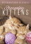 Relax: Dreaming Kittens DVD 【輸入盤】