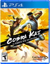 Cobra Kai Karate Kid Saga PS4 北米版 輸入版 ソフト