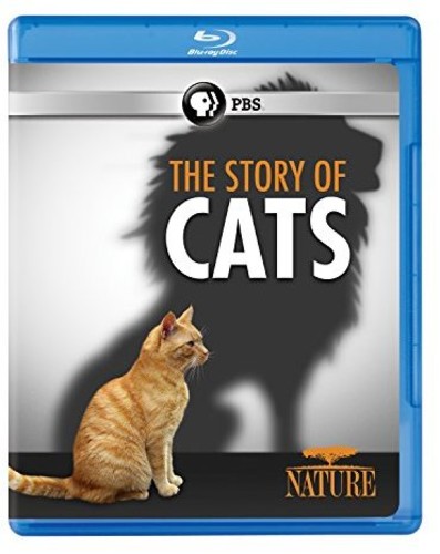 Nature: The Story of Cats u[C yAՁz