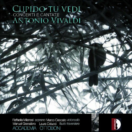 Vivaldi / Milanesi / Colucci / Granatiero / Ceccat - Cupido Tu Vedi CD Х ͢ס