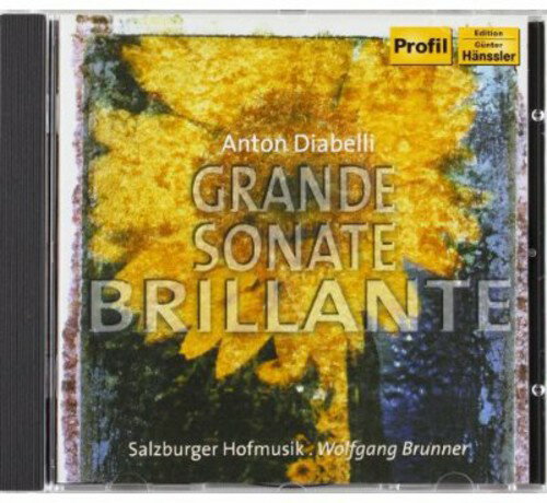 Diabelli / Brunner / Salzburger Hofmusik - Grand Sonata Brillante CD アルバム 