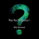 【取寄】Billy Sherwood - What Was The Question CD アルバム 【輸入盤】