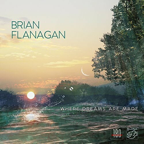 Brian Flanagan - Where Dreams Are Made LP R[h yAՁz