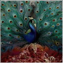 オーペス Opeth - Sorceress CD アルバム 【輸入盤】