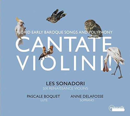 Cantate Violini / Various - Cantate Violini CD アルバム 【輸入盤】