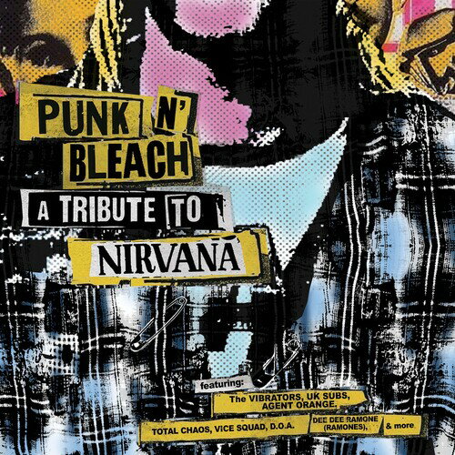 Vibrators / Blanks 77 / Uk Subs / Agent Orange - Punk N' Bleach - A Punk Tribute To Nirvana CD アルバム 【輸入盤】