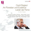 Trumpy / Behle / Voellmy / Branca / Svoboda - Canti Elegiaci - An Florestan Und Eusebius CD アルバム 【輸入盤】