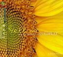 【取寄】ハドソンマンセボ Judson Mancebo - Yellow: New Age Renditions of Coldplay CD アルバム 【輸入盤】