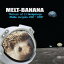 Melt Banana - Return of 13 Hedgehogs (MXBX Singles 2000-2009) CD Х ͢ס