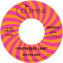 ◆タイトル: Featherbed Lane / Handcuffed To The Shovel◆アーティスト: Mestizo Beat◆現地発売日: 2018/02/02◆レーベル: Colemine RecordsMestizo Beat - Featherbed Lane / Handcuffed To The Shovel レコード (7inchシングル)※商品画像はイメージです。デザインの変更等により、実物とは差異がある場合があります。 ※注文後30分間は注文履歴からキャンセルが可能です。当店で注文を確認した後は原則キャンセル不可となります。予めご了承ください。[楽曲リスト]1.1 Featherbed Lane 1.2 Handcuffed to the ShovelSeven inch vinyl pressing. Mestizo Beat is a Los Angeles-based band blending the styles of afrobeat, afro-Cuban, funk, and R&B. Their debut release for Colemine is a fiery cover of Mongo Santamaria's Featherbed Lane and is sure to set dance floors on fire!