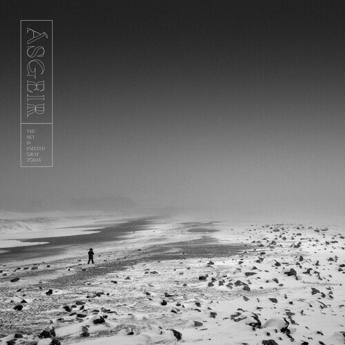 アウスゲイル Asgeir - The Sky Is Painted Gray Today LP レコード 【輸入盤】
