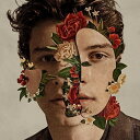 ショーンメンデス Shawn Mendes - Shawn Mendes LP レコード 